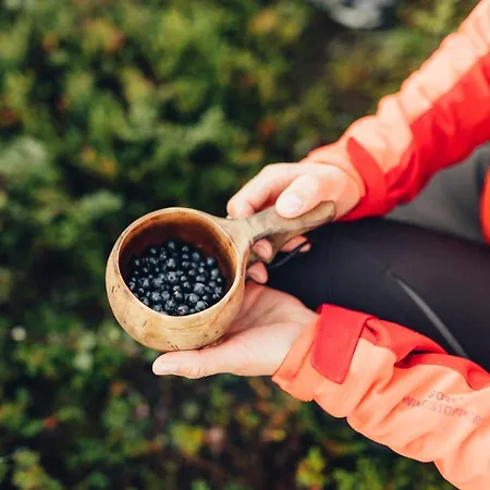 Arctic Sky Lapland Prázdninový dům