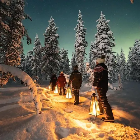 Arctic Sky Lapland * 사리셀카