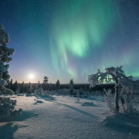 Arctic Sky Lapland 사리셀카