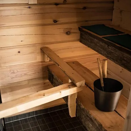 Arctic Sky Lapland * 사리셀카