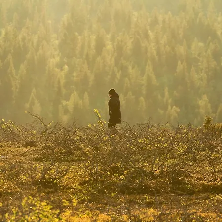 Arctic Sky Lapland Feriehus