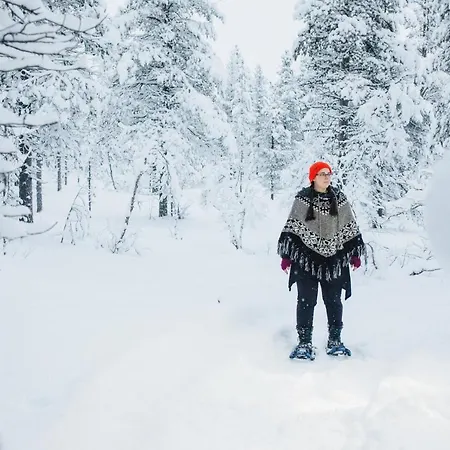 Arctic Sky Lapland 사리셀카