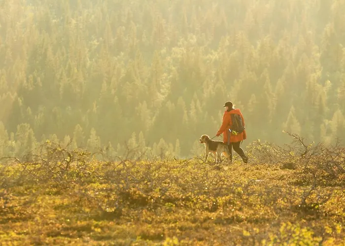 Arctic Sky Lapland *