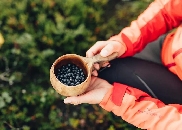 Arctic Sky Lapland בית נופש