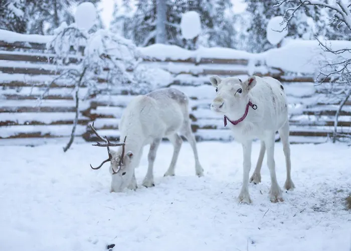 בית נופש Arctic Sky Lapland *