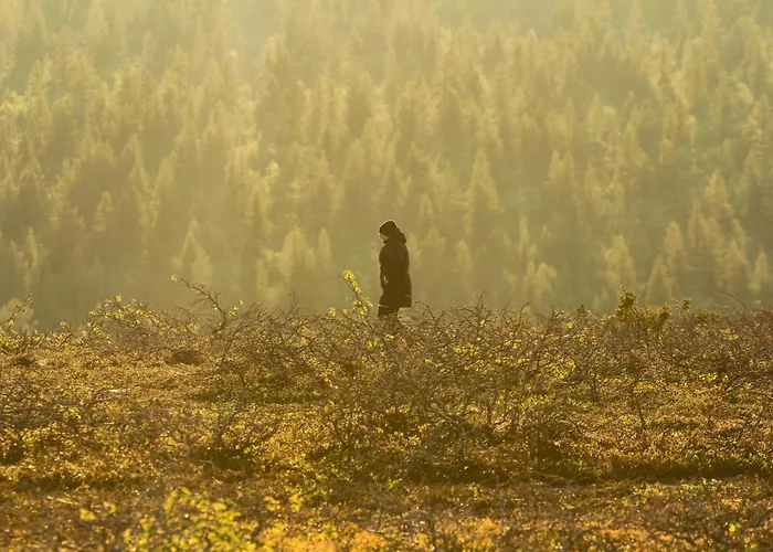 Arctic Sky Lapland Casa vacanze