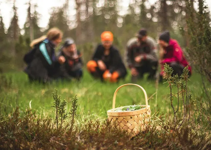 Arctic Sky Lapland Saariselka