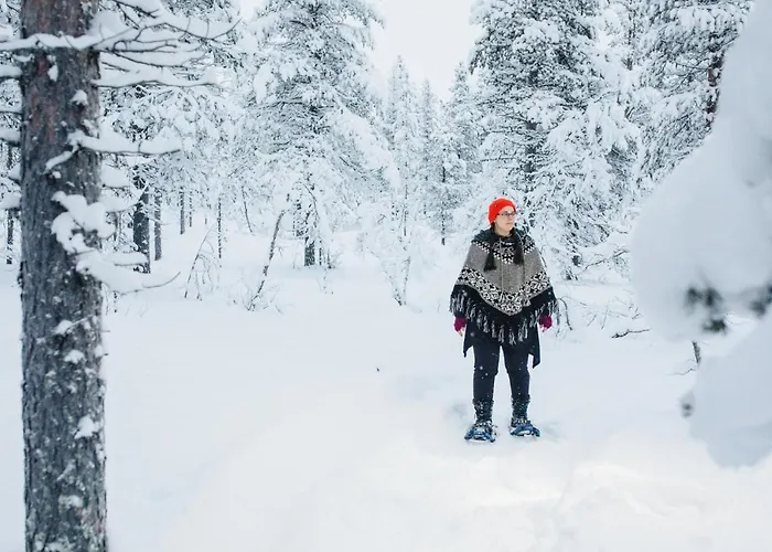 Arctic Sky Lapland סאריסלקה